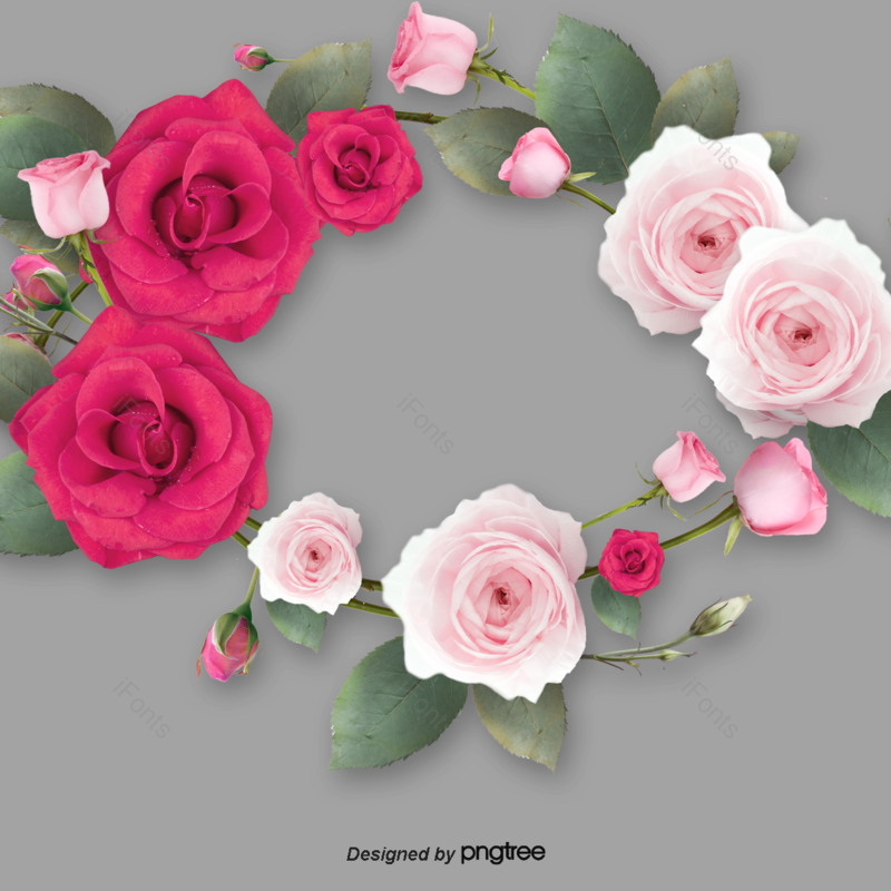 花环图片,玫瑰元素,红色PNG,花边免抠素材